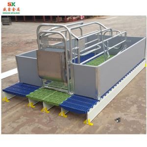 Catata de Pen da Pen .