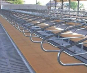 Calda de Calda a Fatta de Fata.