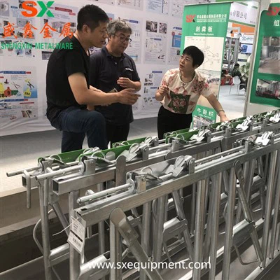 Manzo Cattita Cattina de testa Lock Su Farm